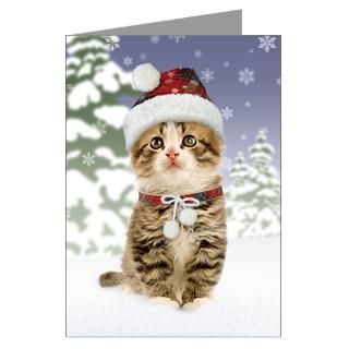Funny Kitty Greeting Cards  Buy Funny Kitty Cards