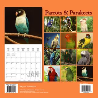 Parrots and Parakeets 2013 Calendar MGANM12