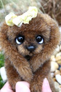 One of A Kind Zausel Rabbit Kiki for Himstedt Zwergnase or Others