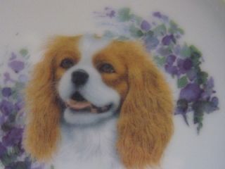 Cavalier King Charles Spaniel Pet Dog Feeder Bowl Porcelain China for
