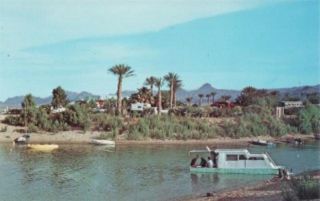 Lake Havasu City Arizona Waterfront Scene Postcard