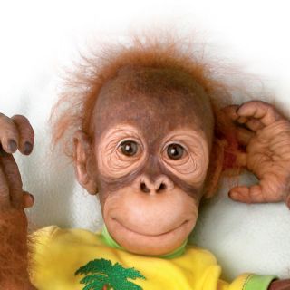 Simon Laurens Realistic Poseable Orangutan Child Doll by Ashton Drake