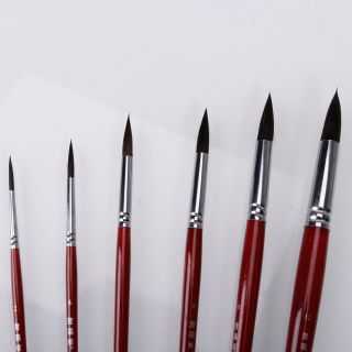 Watercolour Liner Drawing Paint Mixed Hair Brush 12 10 8 6 4 2