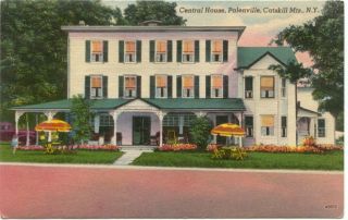 Palenville Catskill Mts. NY Central House Linen Postcard   New York