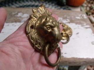 Gorgeous Antique Brass Lion Drawer Pulls