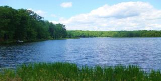 Boat docks on Locust Lake