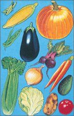 Betty Lukens Fruits Vegetables Nuts Flannel Board Felts
