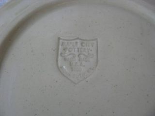 Maple City Pottery Salt Glaze Salad Plate Cobalt Blue Flags Monmouth