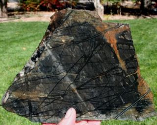 Utah Picasso Marble Slab 800 grams Specimens Rock Jasper Agate Mineral