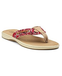 Sperry Top Sider Womens Shoes, Seafish Thong Sandals
