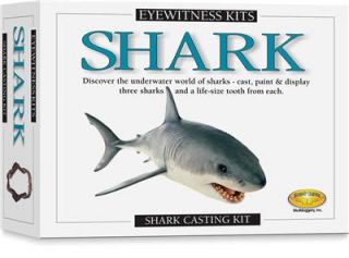 Sharks Model Cast Paint Kit Marine Animals Ocean Life