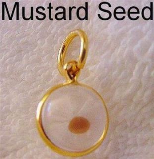 Gold Mustard Seed Pendant Charm for Necklace in Box