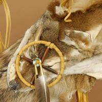 Native Navajo Handmade Coyote Fur Quiver Bow Arrows
