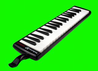the hohner melodicas are an easy to learn instrument and well suited