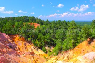 Photo Print Red Bluff Mississippis Little Grand Canyon Landscape Art