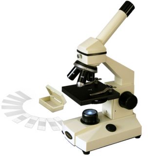 40x 640X Students Biological Microscope Slide Set