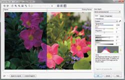 CorelDRAW Graphics Suite X4 lets users work with raw camera files.