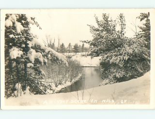 Old RPPC Trees Covered in Snow in Michigan MI Postcard V1713