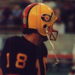 1974 WFL Detroit Wheels Suspension Football Helmet