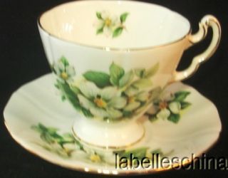 Adderley Teacup and Saucer Provincial Flowers Dogwood Tea Cup and