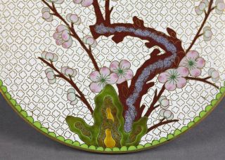 Oriental Vintage Cloisonne Dish with Flowering Prunus 20th C
