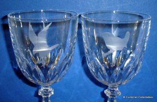 The glasses also have the name of the bird etched onto the base, but