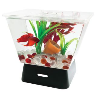 Tetra LED Betta Tank with Base Lighting   Desktop   Aquariums