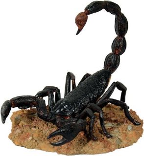Dekofigur, Tierdeko Skorpion Kaiserskorpion lebensecht Spinne Scorpio