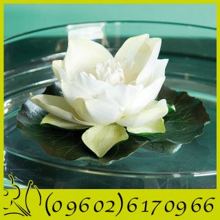Seerose Wasserlilie schwimmend Tischdeko 14 cm creme