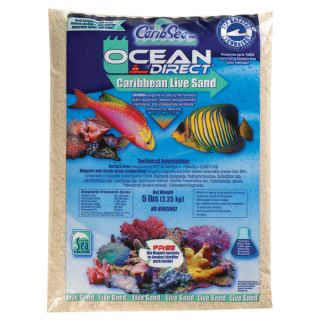Ocean Direct Caribbean Live Sand   Saltwater   Fish