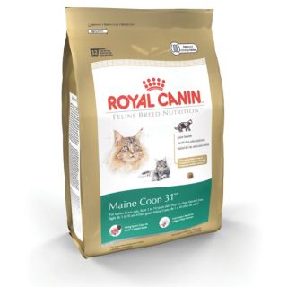 Cat Food on Sale for Adult Cats and Kittens
