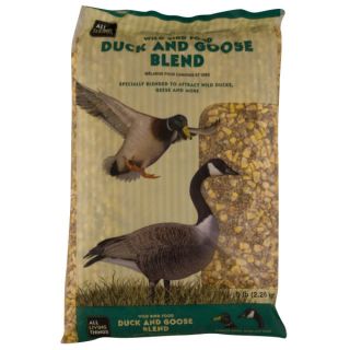 Wild Bird Seed, Wild Bird Food & Suet
