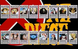 ONE PIECE 16 Piraten Wanted/Steckbrief Poster Anime
