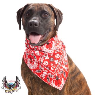 Dog Bows & Bandanas for Dogs