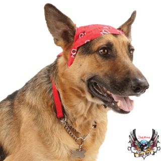 Dog Bows & Bandanas for Dogs