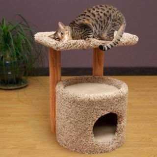 Grreat Choice™ Kitty Condo with Perch   Sale   Cat