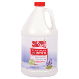 NATURE'S MIRACLE™ Stain and Odor Remover   Sale   Dog