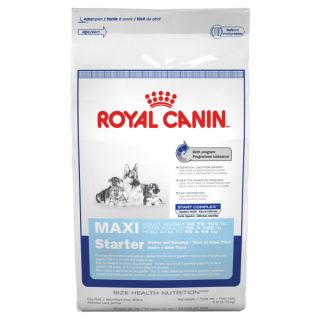 Royal Canin Maxi Starter Mother & Baby Dog   Food   Dog