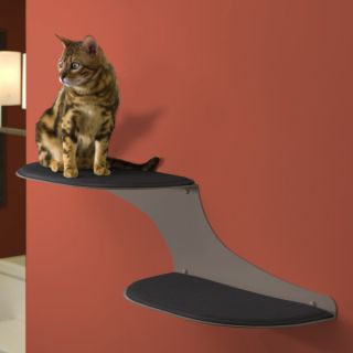 Cat Scratchers and Scratchable Furniture