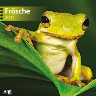 Frösche 2011 Art12 Collection Broschürenkalender 