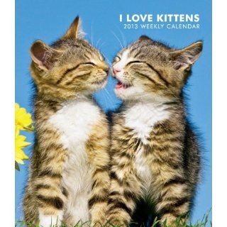 Love Kittens 2013 Calendar Browntrout Publishers