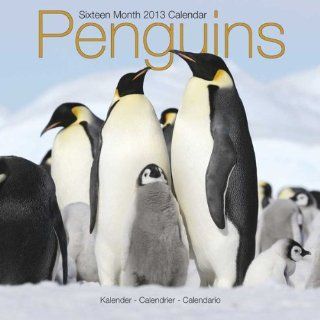 Kalender 2013 Pinguine   Pinguin   Penguins + kostenlose