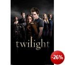 1art1 42983 Twilight   Group Poster 91 x 61 cm