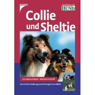 Collie und Sheltie Geschichte. Haltung. Ausbildung. Gesundheit