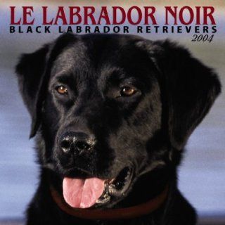 Le Labrador Noir/Black Labradors 2004 Calendar Englische
