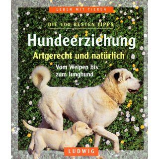 Hundeerziehung Carola Kusch Bücher