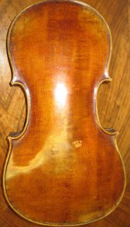 Geige, Schild Joh. Bapt. Schweitzer nach Amati 1813