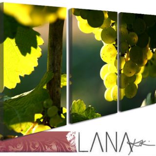 Lana KK Bilder Kunstdruck Küche Wein Weinrebe Trauben M