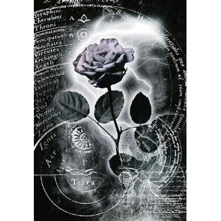   Mercury Rose Poster (91 x 61 cm) Küche & Haushalt