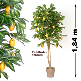 Zitronenbaum, Echtholzstamm, Kunstpflanze, Kunstbaum   184 cm